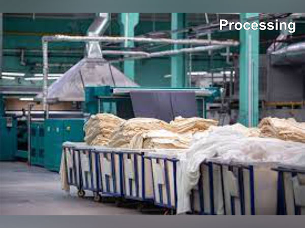 Anjani Synthetics Reports Resilient Performance: ₹254.24 Cr Turnover, ₹7.28 Cr Gross Profit, ₹2.89 EPS, ₹168 Cr Total Assets 