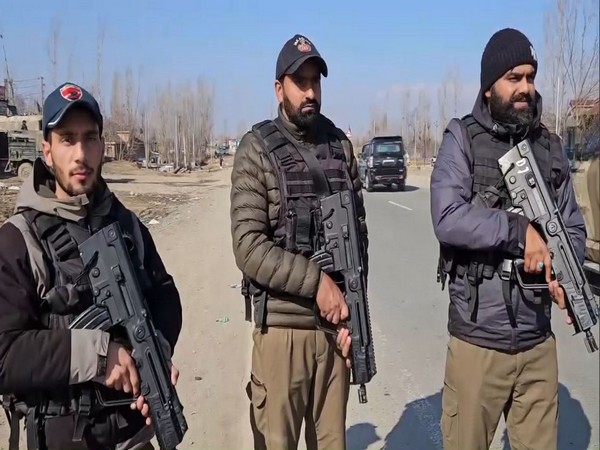 Security forces in Kulgam. (Photo/ANI)