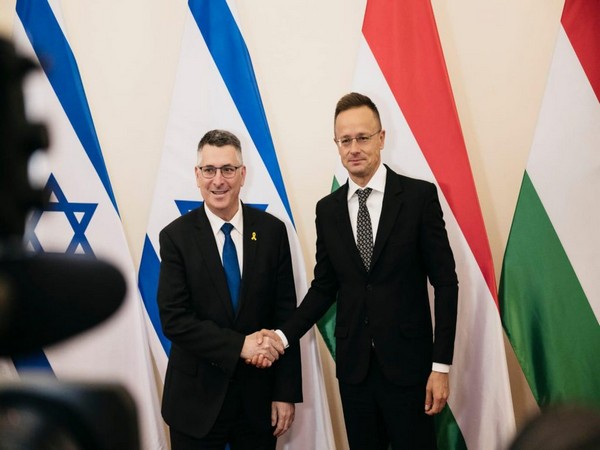 Israeli Foreign Minister Gideon Saar and his Hungarian counterpart, Peter Szerto (Photo/TPS)