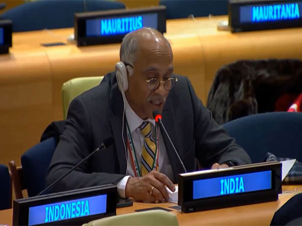 Parvathaneni Harish, India's Permanent Representative to the UN  (Photo/@IndiaUNNewYork)