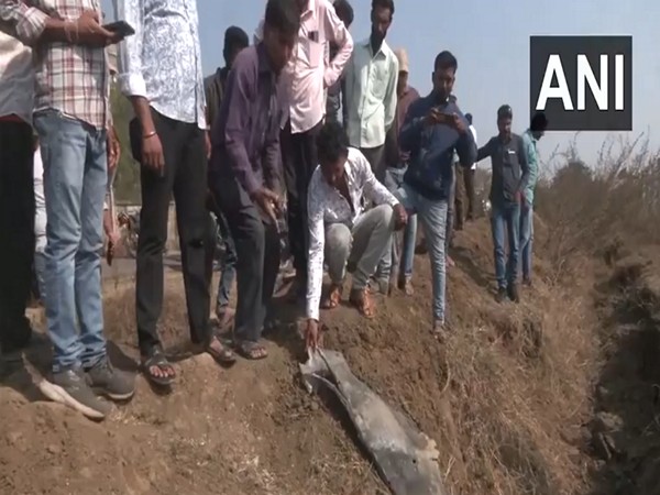 Visual from the site (Photo/ANI)