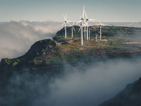 Representative Image (Pexels.com)