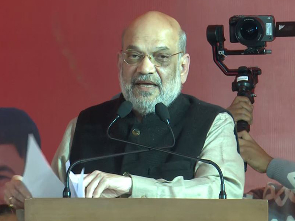 Union Home Minister Amit Shah (Photo/ANI)