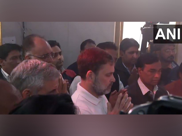  Lok Sabha LoP and Congress leader Rahul Gandhi (Photo/ANI)