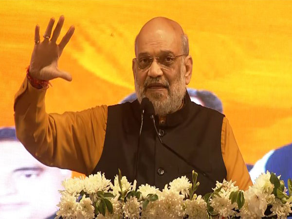 Union Home Minister Amit Shah (Photo/ANI)