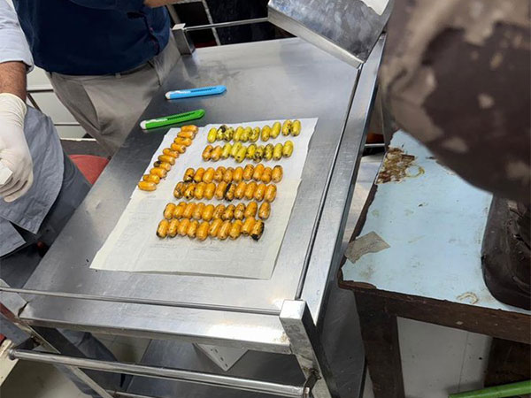 Visuals of cocaine seized at Mumbai airport (Photo/ANI)