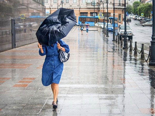 Representative image (Photo/WAM)