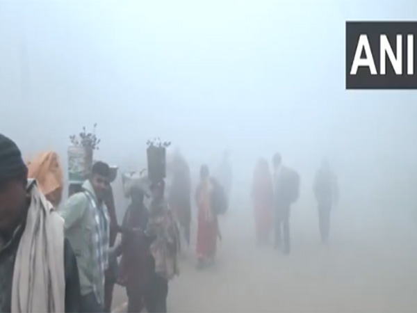 Visual from Prayagraj (Photo/ANI)