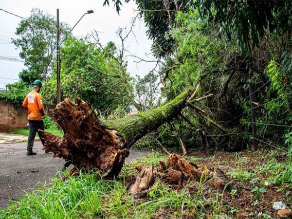 Representative Image (Image/Pexels)