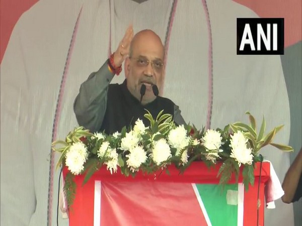 Union Home Minister Amit Shah (Photo/ANI)