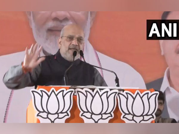 Union Home Minister Amit Shah (Photo/ANI)