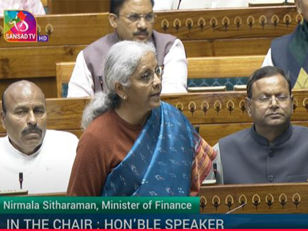 FM Nirmala Sitharaman tables Economic Survey (Image: Sansad Tv)