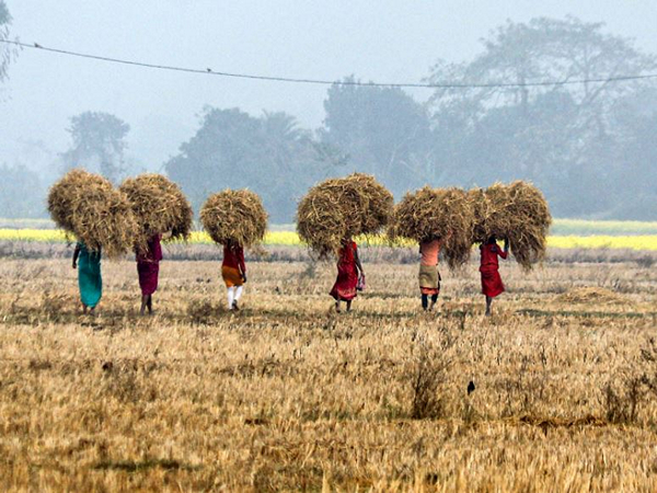 Representative Image (File Photo/ANI)