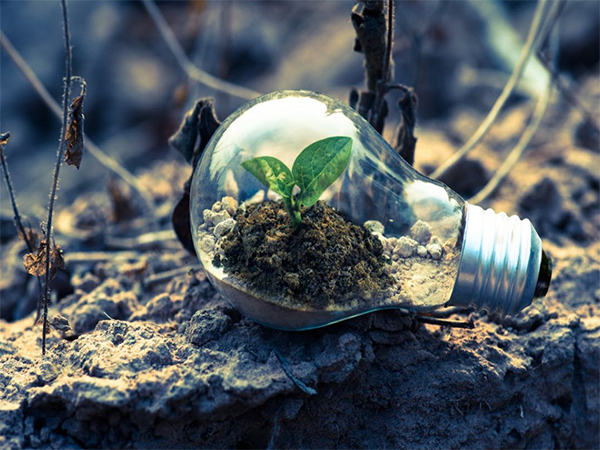 Representative Image (Pexels.com)