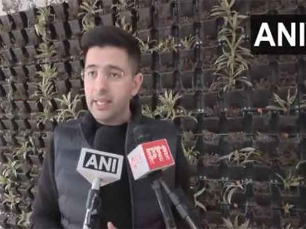 AAP MP Raghav Chadha (Photo/ANI)