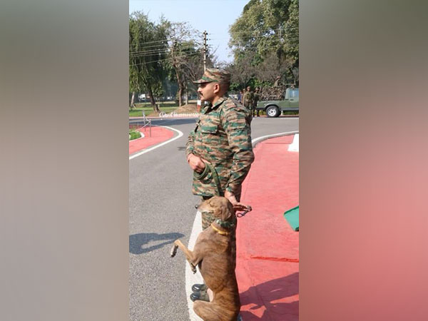 Army honours sniffer dog ‘Teena’ (Photo/Indian Army)
