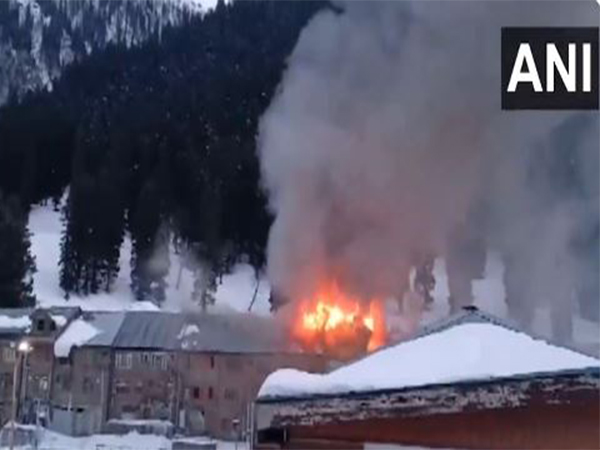 A fire broke out in the main market in Sonmarg.(Photo/ANI)