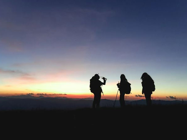 Representational Image (Pexels.com)