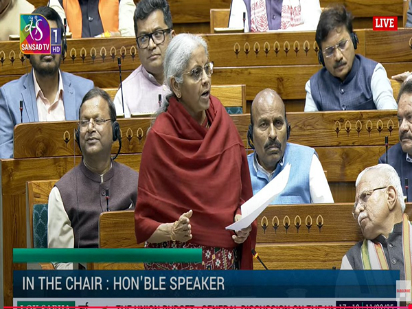 Finance Minister Nirmala Sitharaman in Lok Sabha (Image: Sansad TV)