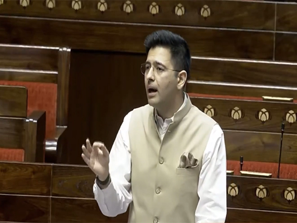 AAP Rajya Sabha MP Raghav Chadha (Image Credit: Sansad TV)