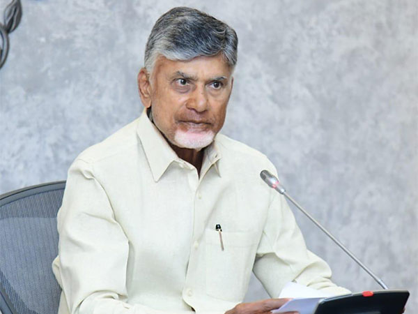 Andhra Pradesh Chief Minister Chandrababu Naidu (File Photo/ANI)