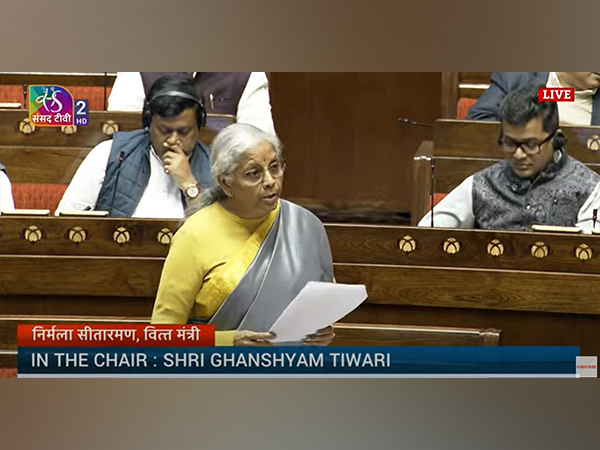 Union Finance Minister Nirmala Sitharaman (Photo/Sansad TV)