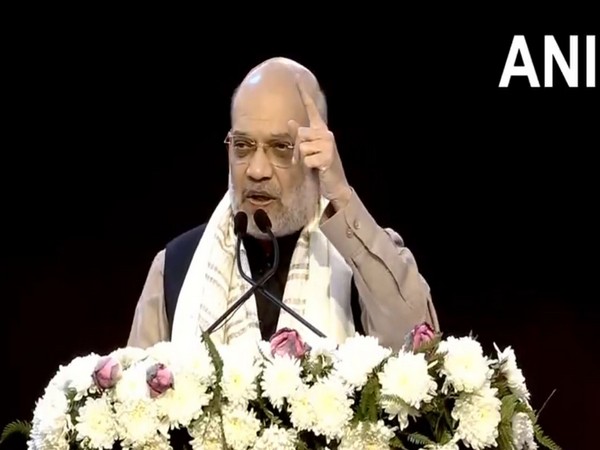 Union Home Minister Amit Shah (Photo/ANI)