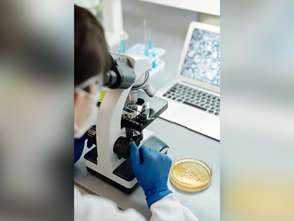 Brain Cells Study (Image Source: Pexels)