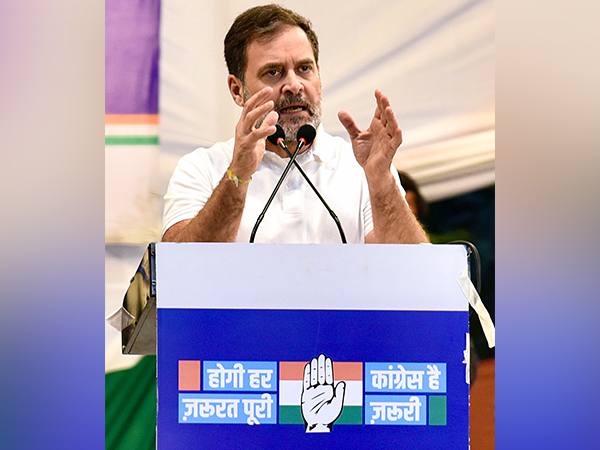 Lok Sabha LoP and Congress MP Rahul Gandhi (Photo/ANI)