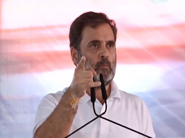 Leader of Opposition in Lok Sabha, Rahul Gadnhi (Photo/ANI)
