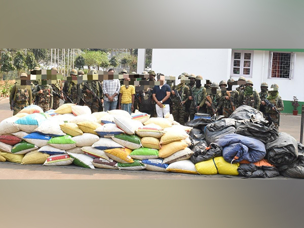 Assam Rifles seize marijuana worth over 10 crore in West Tripura (Photo/ANI)