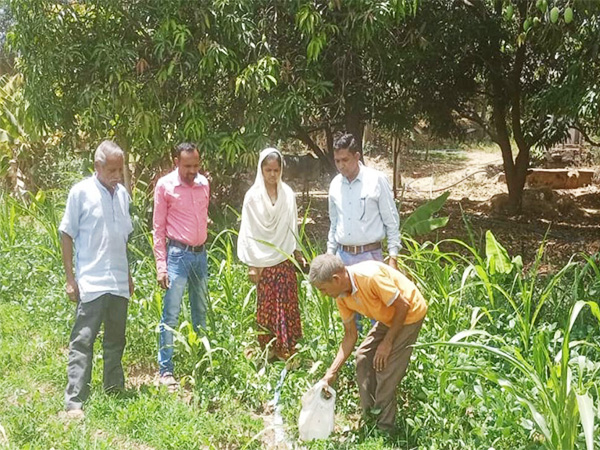 Farmers at work in Dahod, Gujarat (File Photo/@DaoDahod)
