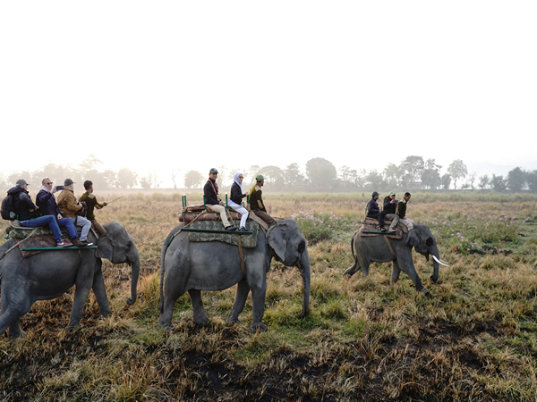EAM S Jaishankar and envoys of various nations visit Kaziranga National Park (Image Credit: X/@MEAIndia)