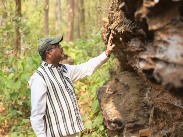  Union Education Minister and Sambalpur MP Dharmendra Pradhan (Photo/ANI) 