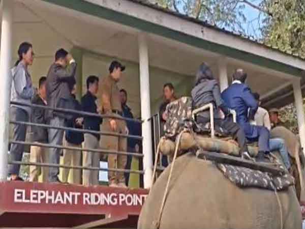 Delegates at Advantage Assam take elephant ride  (Photo/ANI)