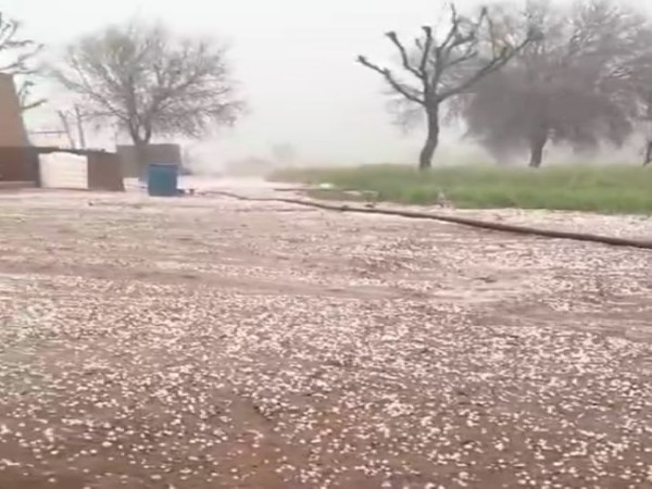 Visuals of hailstones in Churu, Rajasthan (Photo/ANI)