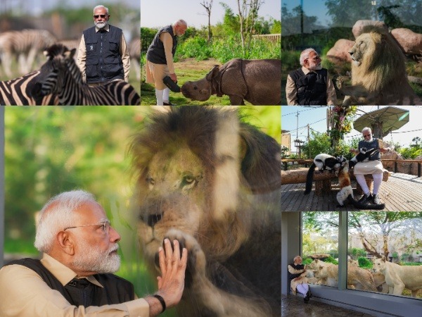 Prime Minister Narendra Modi in Vantara (Photo/@narendramodi)