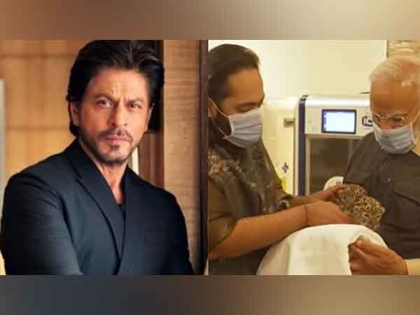 "Keep it up Beta...": SRK Praises Anant Ambani's Vantara project, says love for animals reflects purity of heart