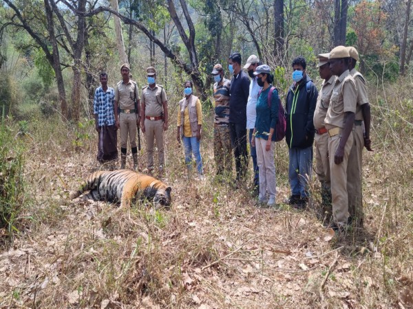 Tiger found dead in Tamil Nadu. (Photo: ANI) 