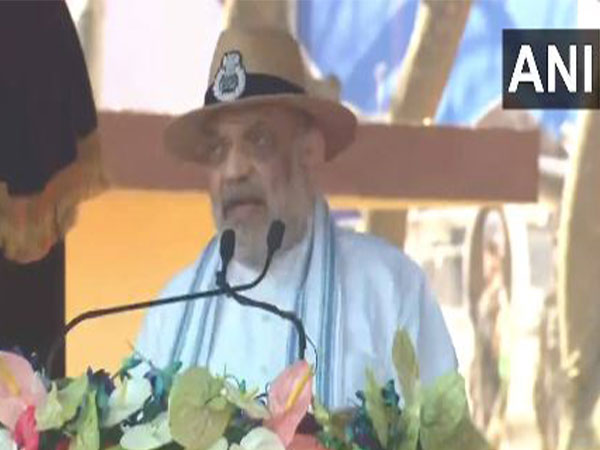 Union Home Minister Amit Shah. (Photo/ANI)