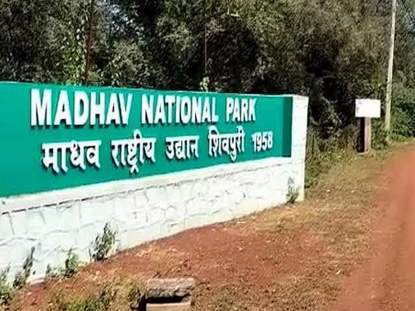 Madhav Tiger Reserve becomes India's 58th Tiger Reserve, ninth in Madhya Pradesh. (Photo/X@byadavbjp)