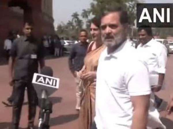 Lok Sabha LoP and Congress MP Rahul Gandhi (Photo/ANI) 