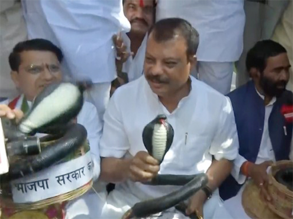Congress MLAs holding protest, LoP Umang Singhar showing plastic snake in hand while symbolically staging demonstration (Photo/ANI)