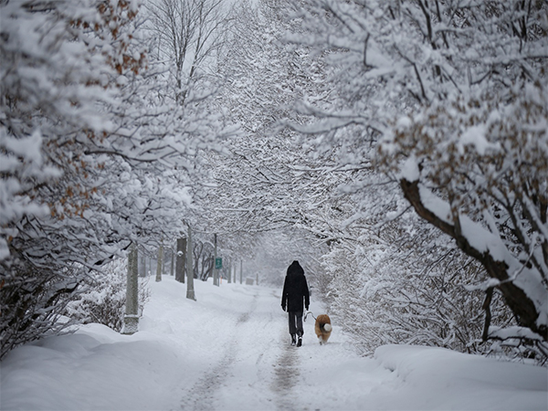 A woman walks a dog along the Rideau Canal during snowfall in Canada (Image Credit: Reuters)