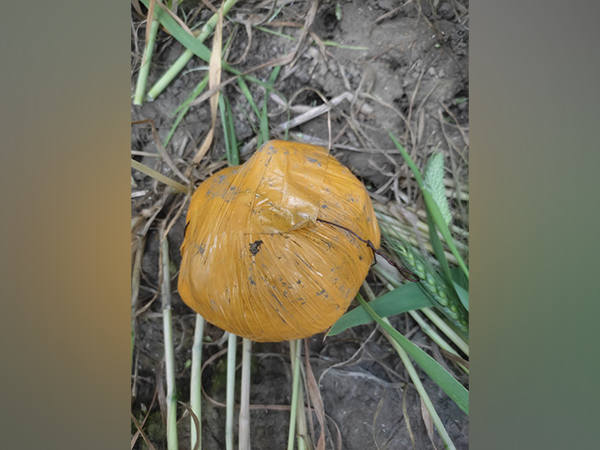 The suspected heroin packet wrapped in yellow adhesive tape (Photo/AN I)