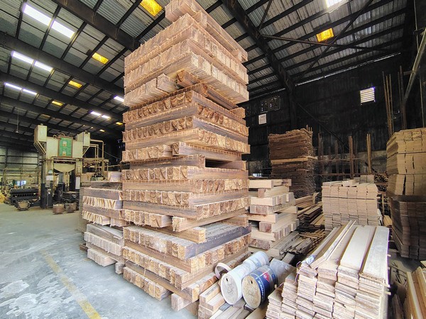 Mutha Industries Pvt. Ltd, leader in bamboo-based production in Tripura (Photo/ANI) 