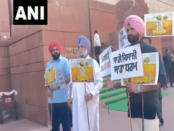 Punjab Congress MPs protest against removal of farmers (Photo/ANI)