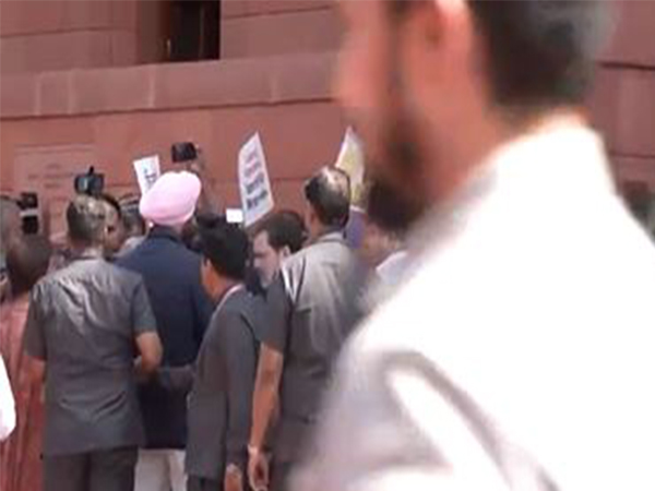 Congress MP Rahul Gandhi meets Congress MPs from Punjab  (Photo/ANI) 