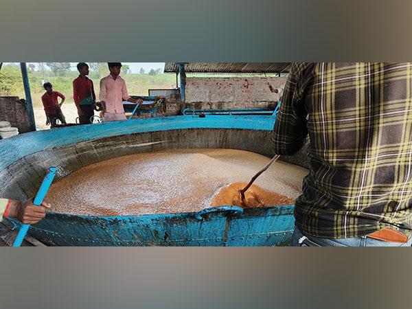 Jaggery being produced (ANI File Photo)