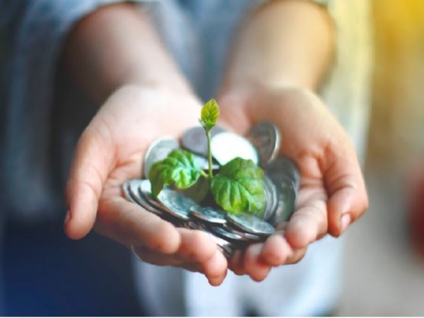 Representative Image (Image/Pexels)